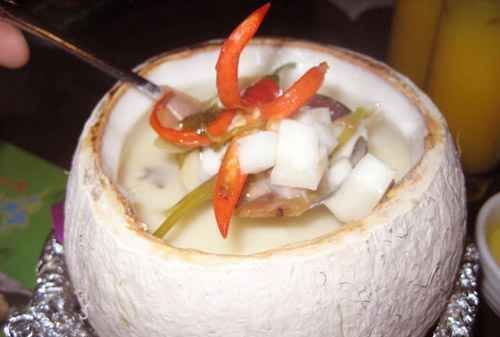 老椰子肉的吃法大全窍门