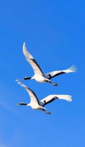 ​判断男生喜欢你还是玩玩