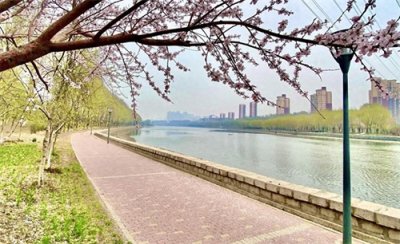 ​宋诗：春风又绿江南岸，明月何时照我还(王安石)