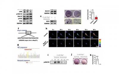​最好的防晒霜（公认防晒效果超好的4个防晒霜）