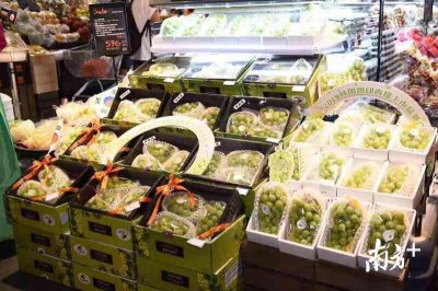 ​199元一斤的葡萄啥味道？韩国香印青提成“老广”餐桌新选择