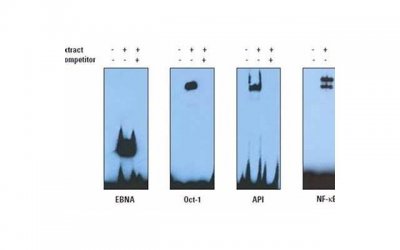 ​晚上约女孩子去哪里玩比较好？晚上约会地点推荐