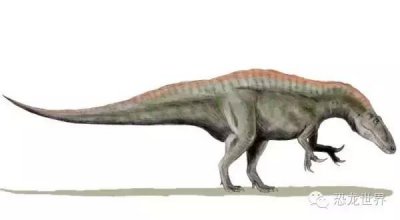 ​高棘龙：厉害！善于捕捉40吨重恐龙