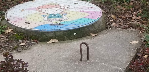 边走边看6——上海浦江郊野公园