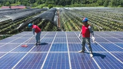 ​光伏发电骗局被揭露！无数农民上当受骗！