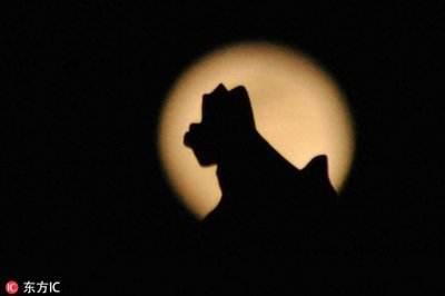 ​你看这个月亮它又大又圆，2019首轮“超级月亮”昨晚现身，美skr人