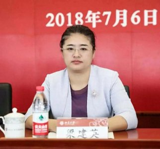 ​高铁行业唯一女总工程师：梁建英，让中国高铁“飞”起来的传奇