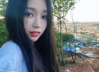 ​10公分黄杨木的价格（15公分黄杨木的价格）