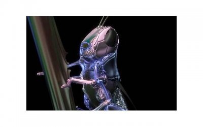 ​七夕节爱情诗歌