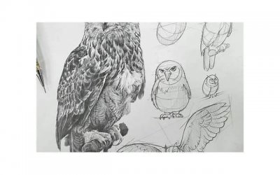 ​你知道物以类聚什么意思吗 别人骂你物以类聚怎么回