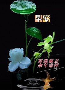 ​早安唯美图片分享