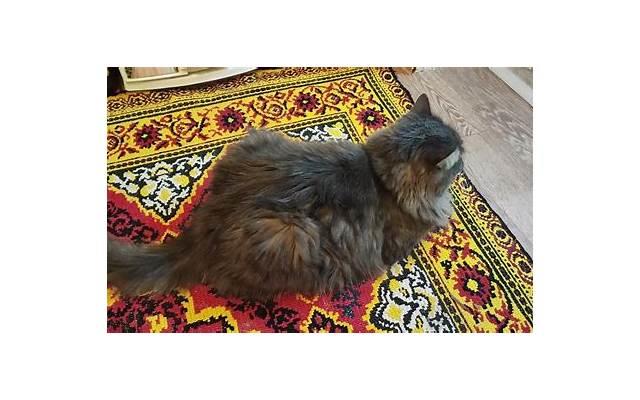 结婚床上应该放什么 结婚床上放哪些东西好