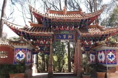 ​春节去武定狮子山舞龙舞狮赏牡丹