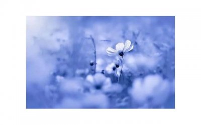 ​女性高潮液有什么争议？怎么才能识别女性高潮液？