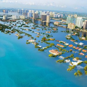 ​两极冰川融化到底有多可怕？看完涨知识了