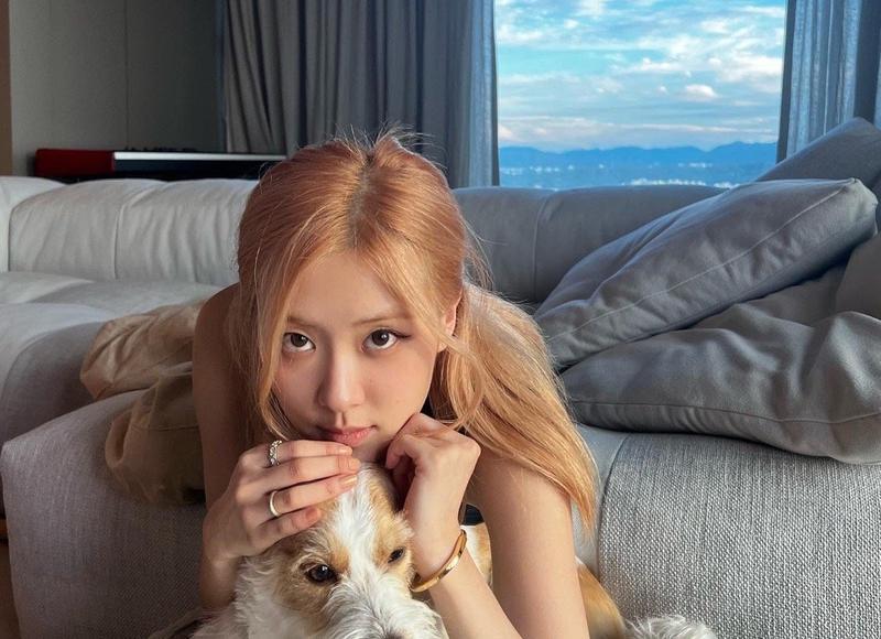 懂得“僚机三大守则”，下一个金牌僚机就是你