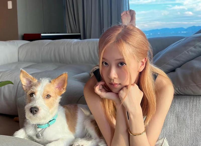 爱情挽回的正确姿势，从自我成长开始