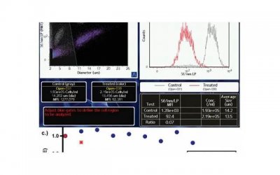 ​张含韵的微博（张含韵发微博晒自己一天的饭量）