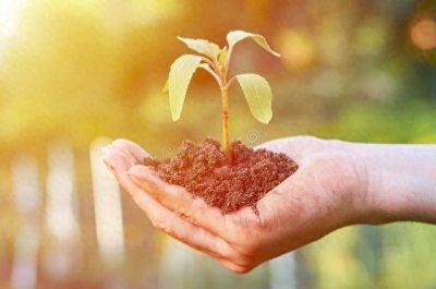 ​如何才能获得真正的幸福？