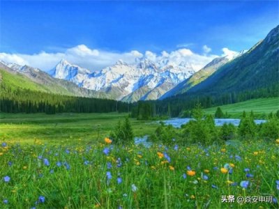 ​一个家，换个语气，就是换个运气（悟了）