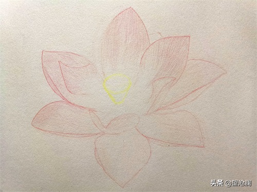 怎么用彩铅画荷花?沧澜分分钟教会你,成画简直美爆了