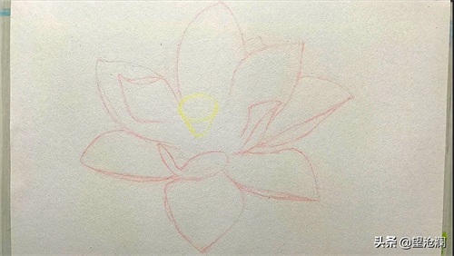 怎么用彩铅画荷花?沧澜分分钟教会你,成画简直美爆了