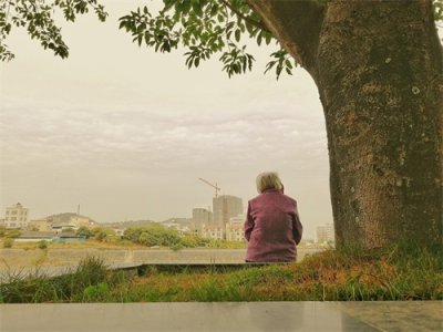 ​龙应台《目送》经典语录：对于生命，只能目送，无法挽留