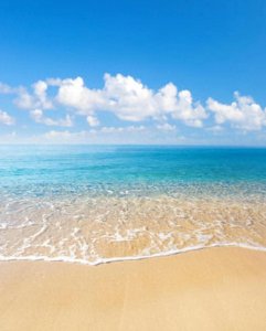 ​2023年重庆高中最新排行榜：重庆最好中学排行榜公布