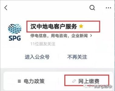 ​春节期间电费欠费怎么办？这份网上缴费指南请收好