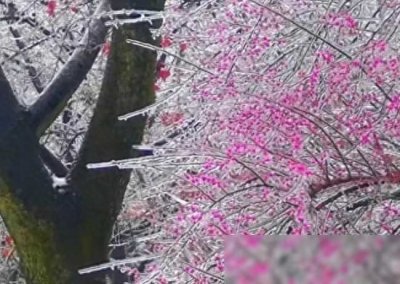 ​冻雨（五绝）