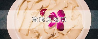 黄喉怎么切