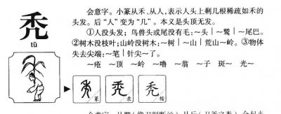​光秃秃的读音（光秃秃解释）