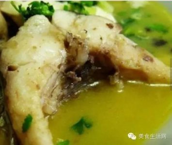 ​清炖梭鱼 家常做