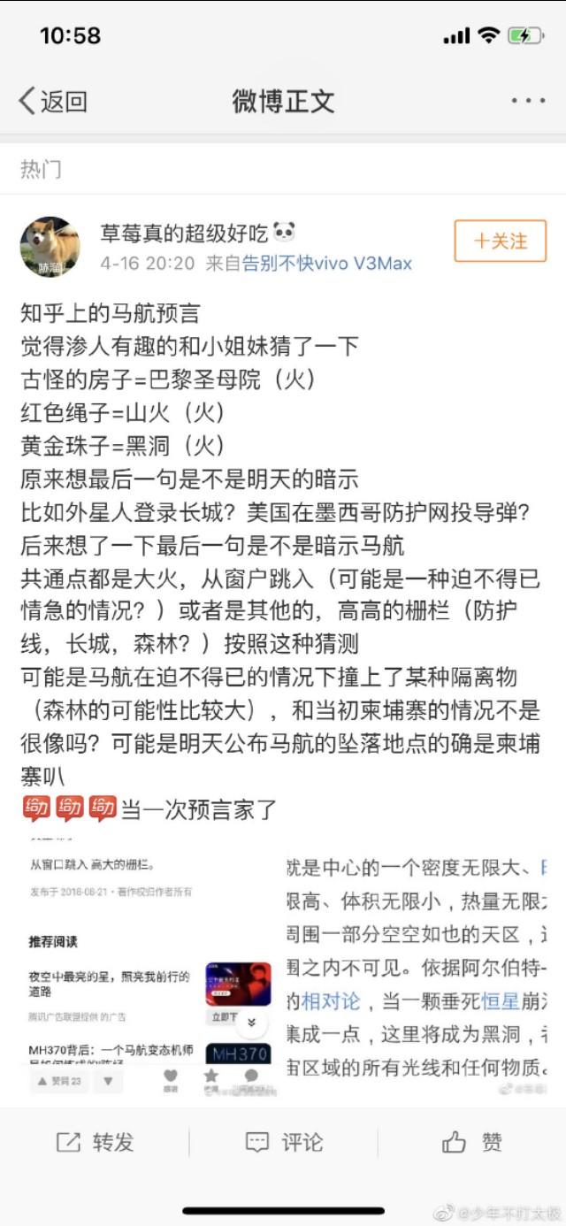 马航找到了是真的吗(马航的语言到底是真是假)(3)