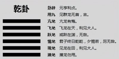 ​「浅读易经」乾卦，成功者的素质，你具备吗？