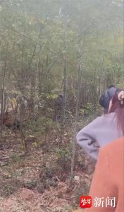 ​南京牛首山景区有“黄牛”低价带游客从野路进山？记者实探