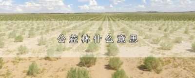 ​公益林是什么性质 经济林和公益林是什么意思